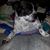 Loretta Lynn Buckner-Naylor's profile image