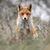 Sherry Cole's profile image