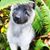Vivi Echeverria's profile image