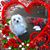 Tamie L Willhelm's profile image