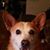 Beth Cannon's profile image