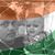 Sakshi Singh's profile image