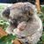 Eric Kramer's profile image