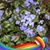 Anne Vanden Broek's profile image
