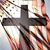 Jason Hasselquist's profile image