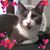 Sherry Wiggins Cagle's profile image