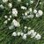 Crystal Hanson Coverstone's profile image