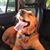 Steve Murphy's profile image