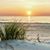 Astrid Gerlach Hunter's profile image