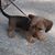 Scott Cantgetright Scheerer's profile image