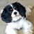 Teri N Tom McGarry's profile image
