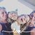 Chrissi Ives Polizzi's profile image