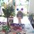 Lesa Gower's profile image