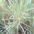 Wahid Bekioua's profile image