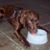 Peggy Buckley's profile image