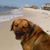 Ellen Miller Davis's profile image