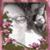 Crystal Mitchell's profile image