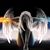 Kris Vander Stelt's profile image