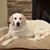 Mary Wilson's profile image