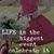 Brenda Davison Jessel's profile image