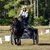 Louise Leister's profile image