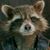 Calvin Gordon Dodge's profile image