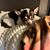 Heather Brewington's profile image