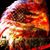 Sue Fesler's profile image