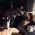 Melissa A LaPeer's profile image