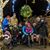 Lisa Jen Newcomb's profile image