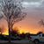 Donna Priestle Walden's profile image