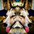 Bryan Philbrook's profile image