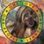 Doreen Beth's profile image