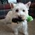 Debbie Bob Barr's profile image