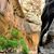 Nancy Lee Robertson's profile image