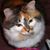 Nadine E Hunter's profile image