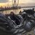 Abbye Needham's profile image
