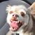 Charles Wolfe's profile image