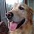 Brad Heidinger's profile image