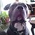 Mlar Prince Hayes's profile image