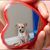 Jamey Lanich's profile image