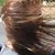 Susan Paley's profile image