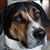 Erica Johnson's profile image