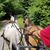 Denise Reed Gagnon's profile image