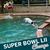 Pam Fentner's profile image
