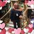 Linda Verdugo's profile image