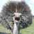 Doug McKay's profile image