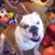 Glenda Parker's profile image
