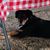 Amanda Spoor's profile image