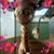 Linda Chaskey's profile image
